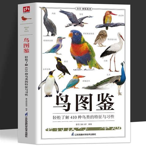 鳥圖|世界鳥類網路圖鑑